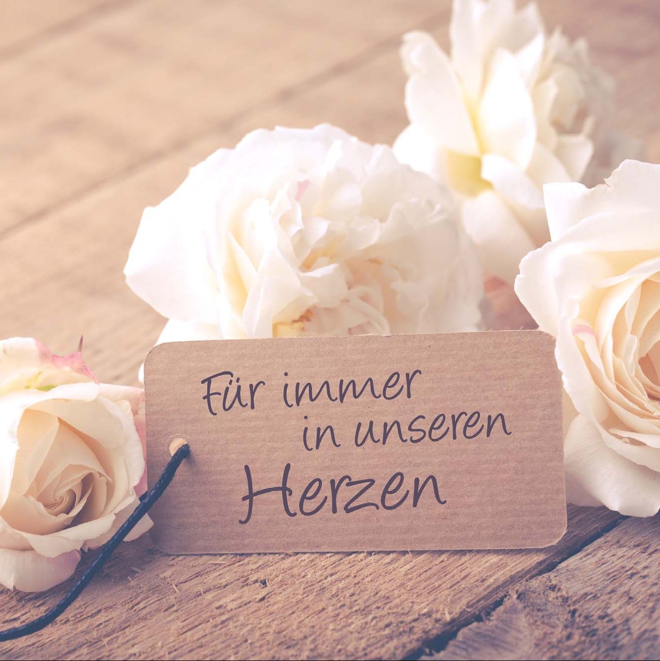 Trauerspruch mit weißen Rosen